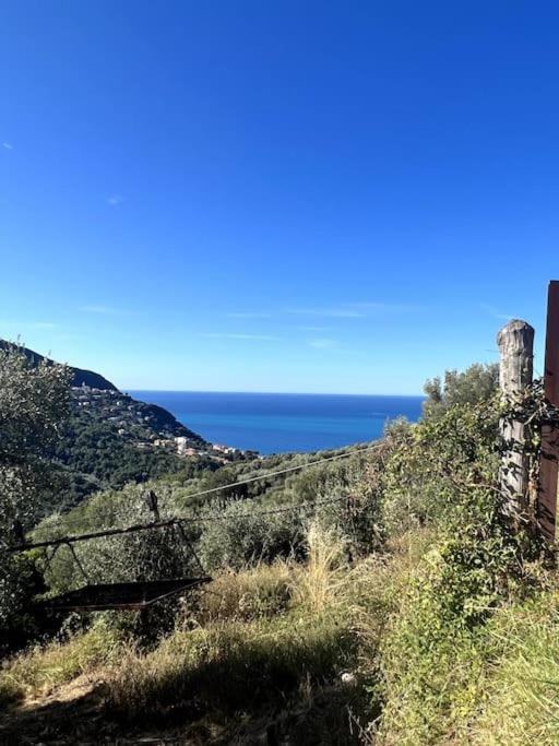 Olivetta House Holiday Moneglia Eksteriør billede