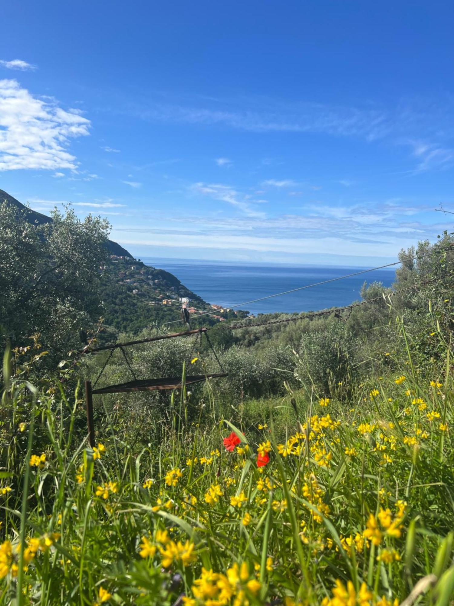 Olivetta House Holiday Moneglia Eksteriør billede