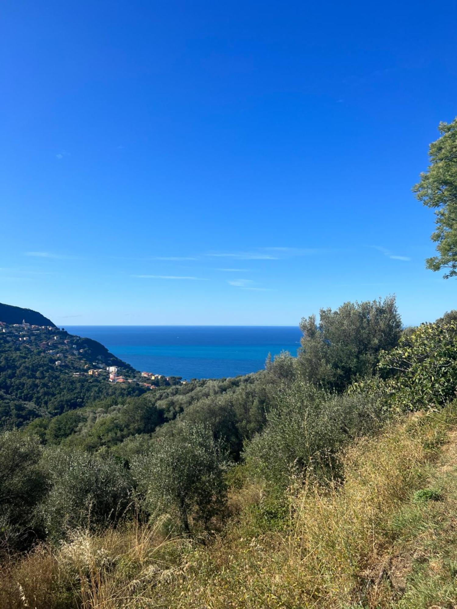 Olivetta House Holiday Moneglia Eksteriør billede